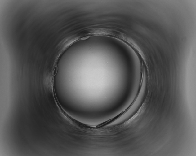 X0000094781433200711161407