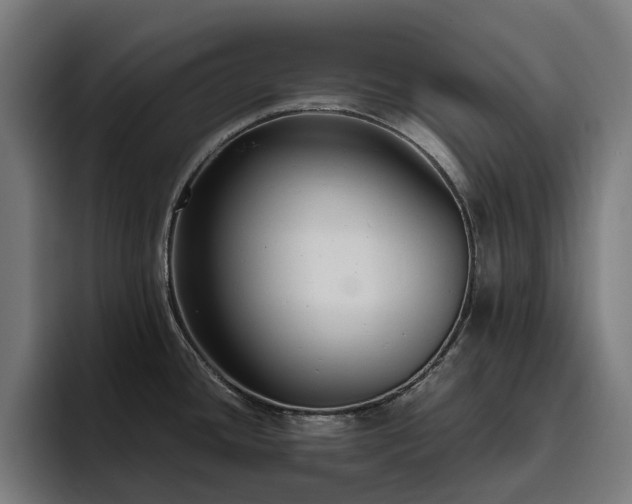 X0000094781436200711161407