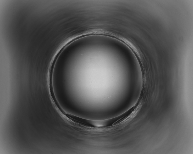 X0000094781438200711161407