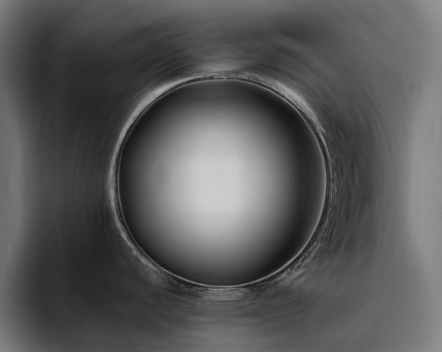 X0000094781440200711161407