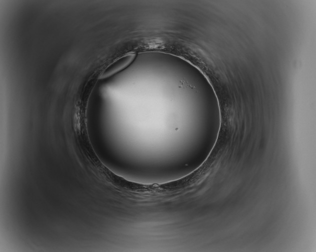 X0000094781442200711161406