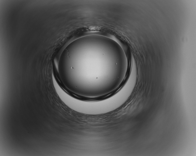 X0000094781443200711161406