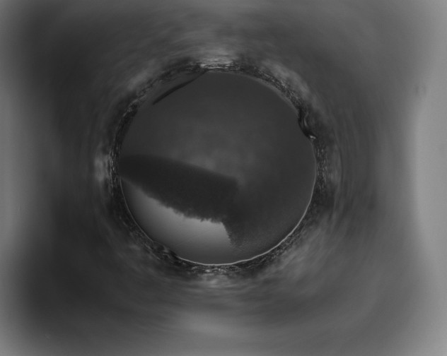 X0000094781445200711161406