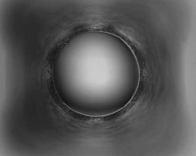 X0000094781447200711161406