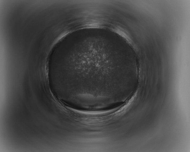 X0000094781450200711161406
