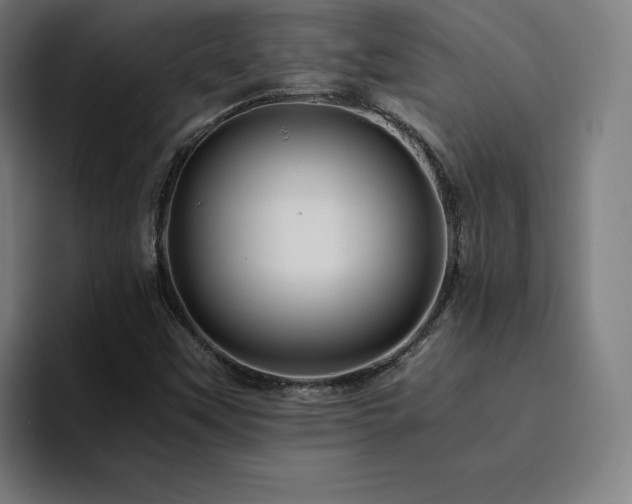 X0000094781451200711161406