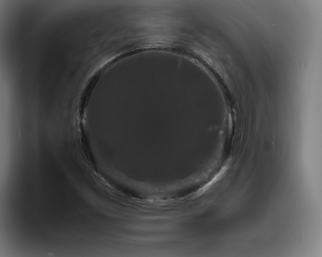 X0000094781453200711161406