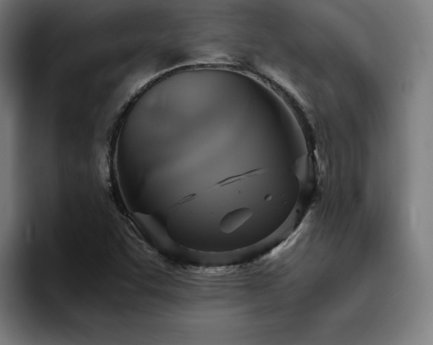 X0000094781455200711161406