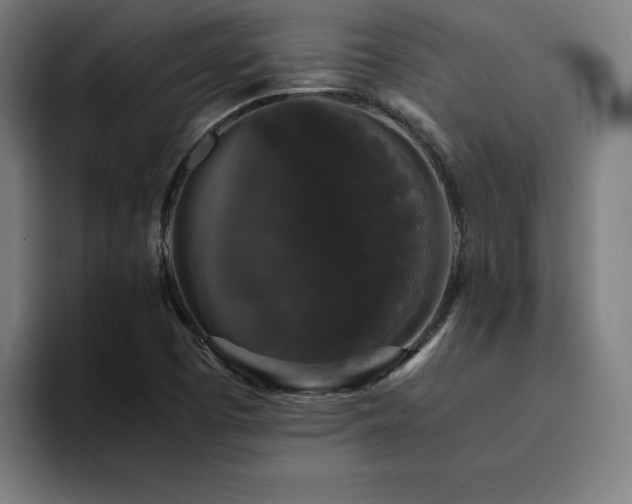 X0000094781457200711161406
