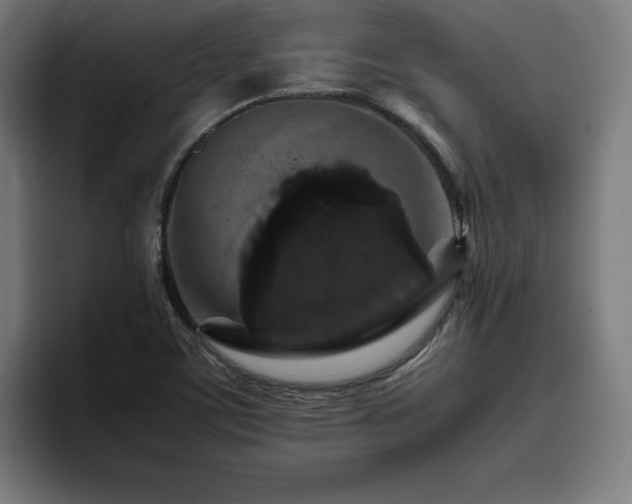 X0000094781459200711161406