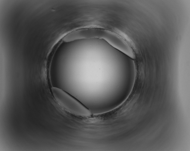 X0000094781460200711161406