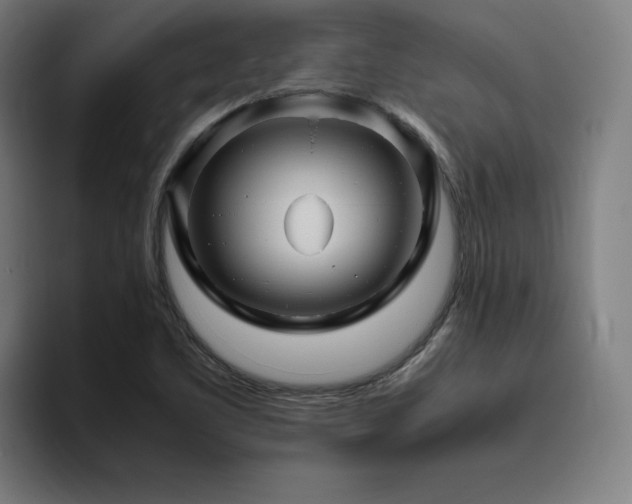 X0000094781461200711161406