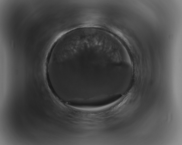 X0000094781463200711161406