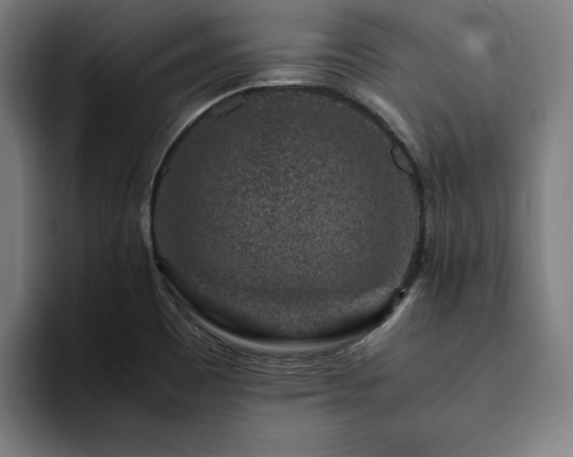X0000094781465200711161406
