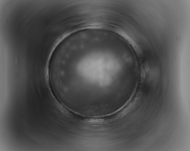 X0000094781466200711161406