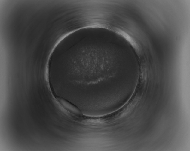 X0000094781468200711161406