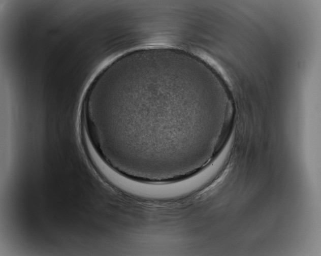 X0000094781469200711161406