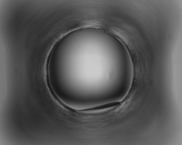 X0000094781471200711161406