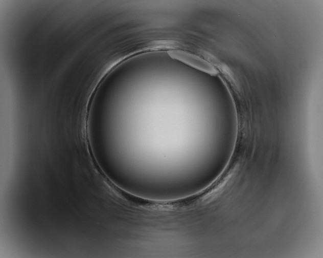 X0000094781473200711161406