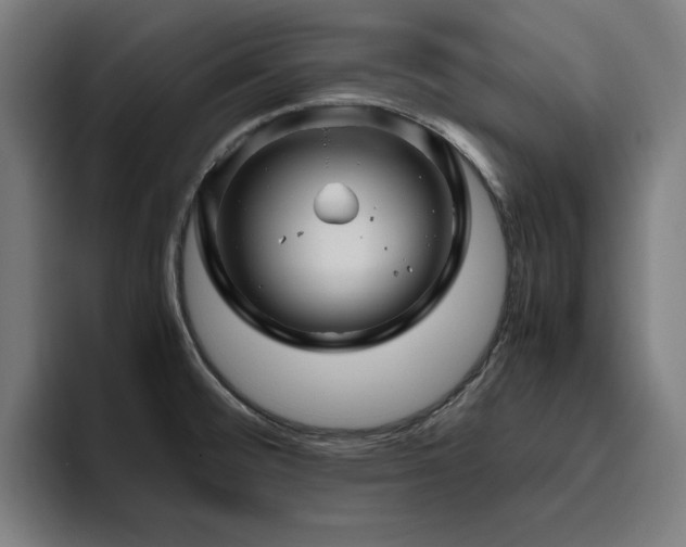 X0000094781476200711161406