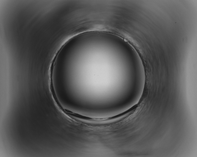 X0000094781479200711161406