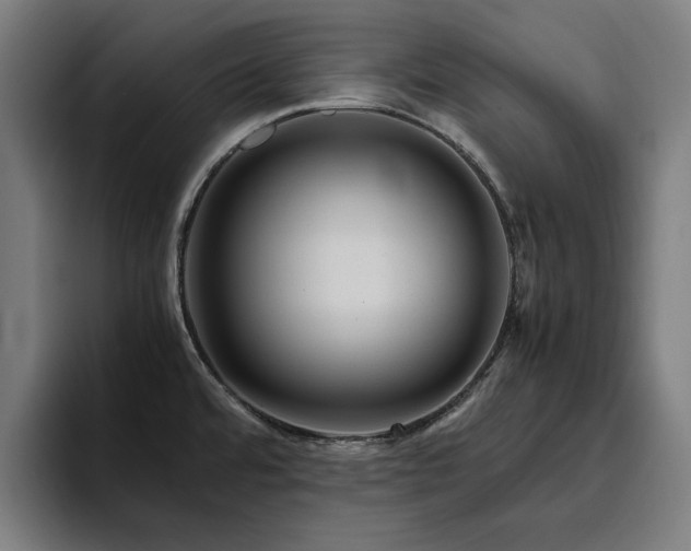 X0000094781480200711161406