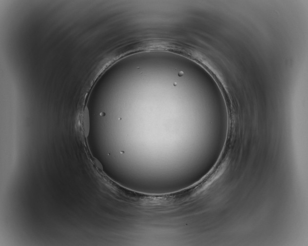 X0000094781481200711161406