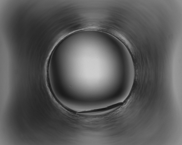 X0000094781483200711161406