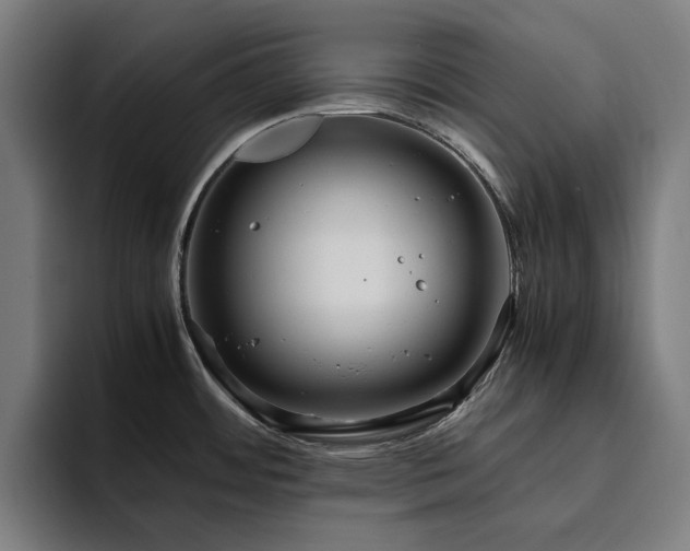 X0000094781484200711161406