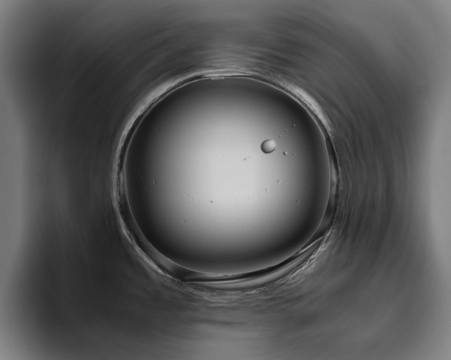 X0000094781485200711161406