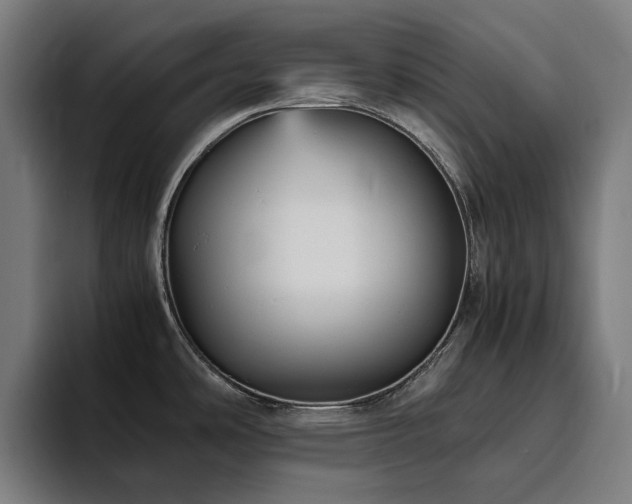 X0000094781486200711161406