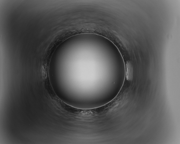 X0000094781491200711161405