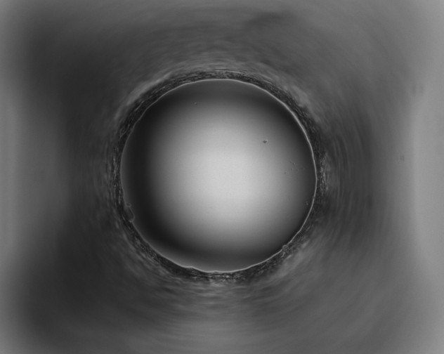 X0000094781494200711161405