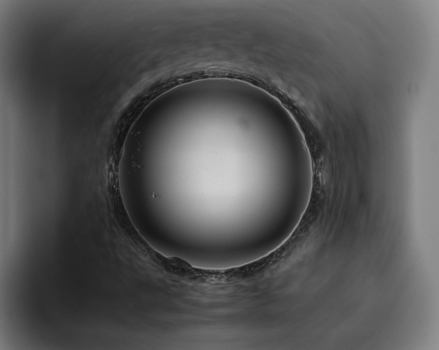 X0000094781495200711161405