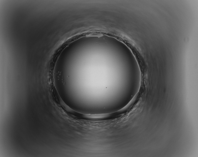 X0000094781496200711161405