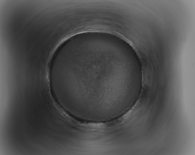 X0000094781498200711161405