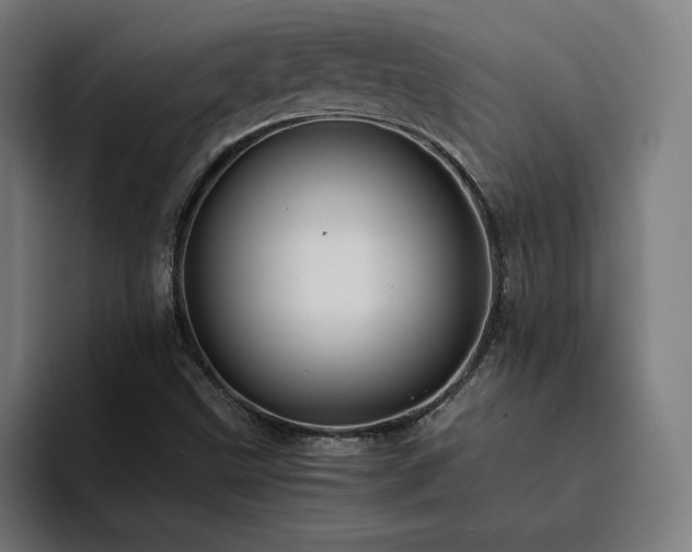 X0000094781499200711161405