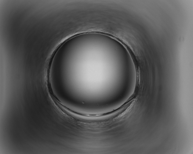 X0000094781500200711161405