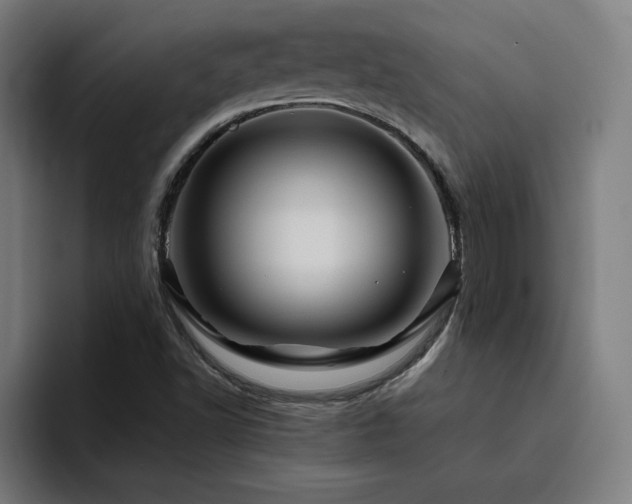 X0000094781502200711161405