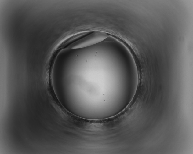 X0000094781503200711161405