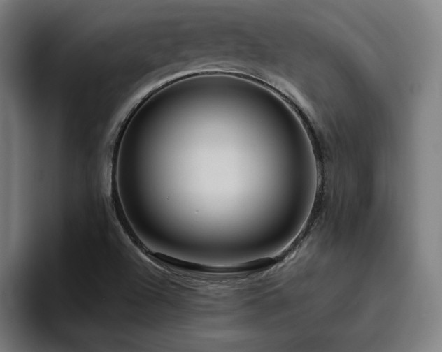X0000094781504200711161405