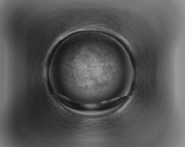 X0000094781506200711161405