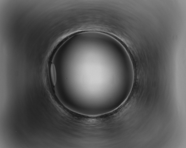 X0000094781507200711161405