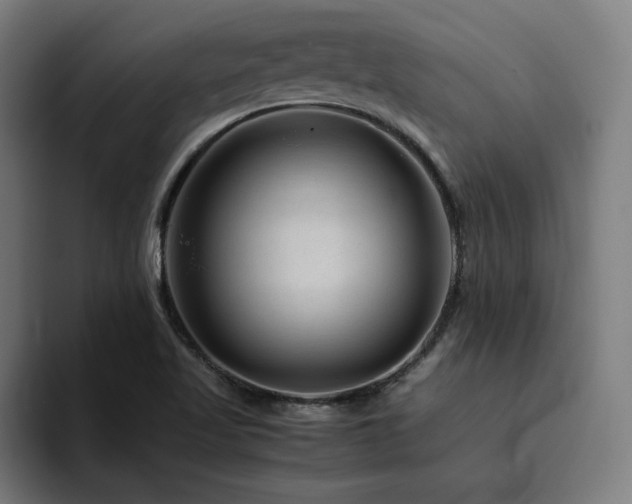 X0000094781509200711161405