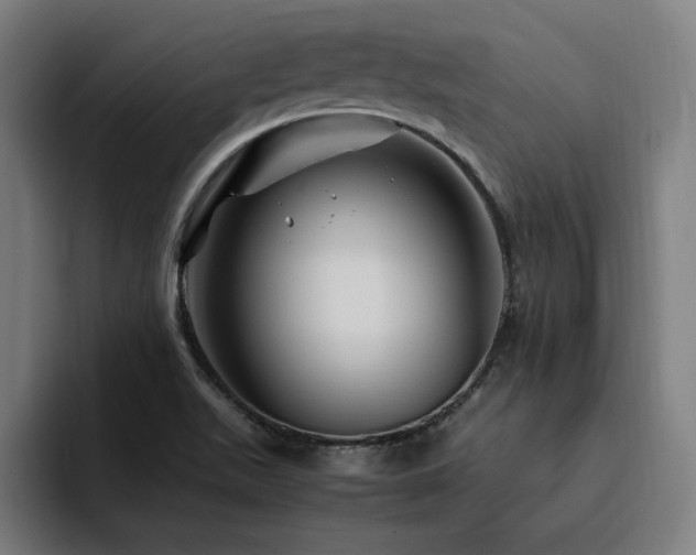 X0000094781511200711161405