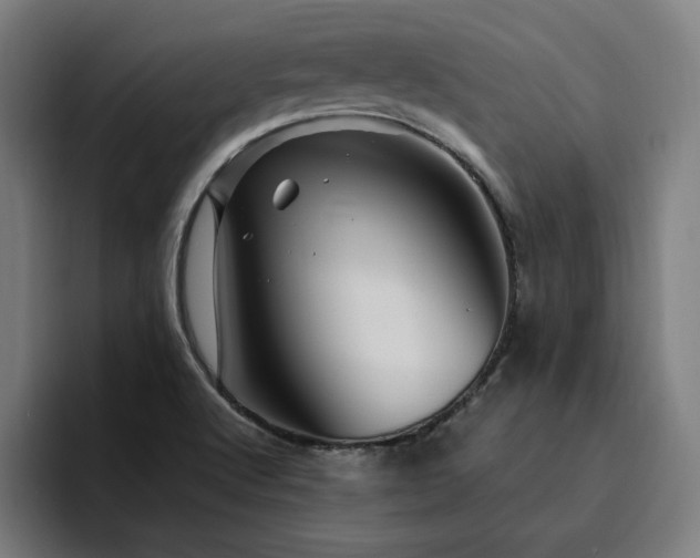 X0000094781512200711161405