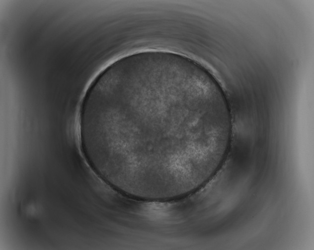 X0000094781514200711161405