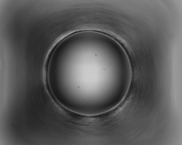 X0000094781517200711161405