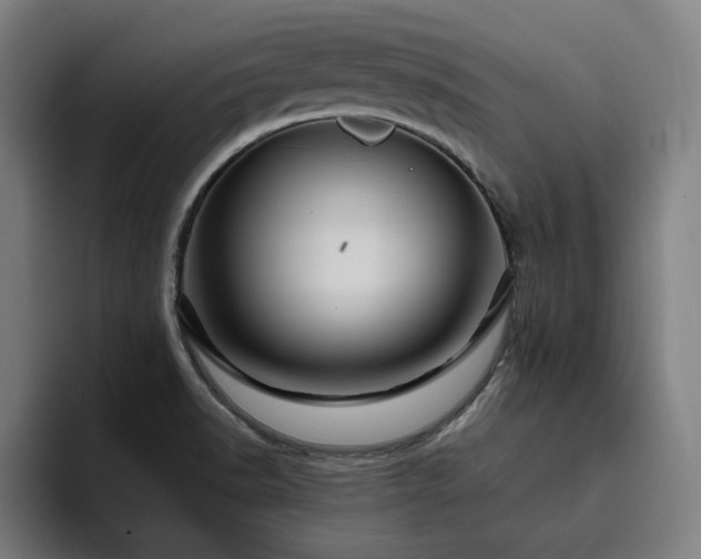 X0000094781518200711161405