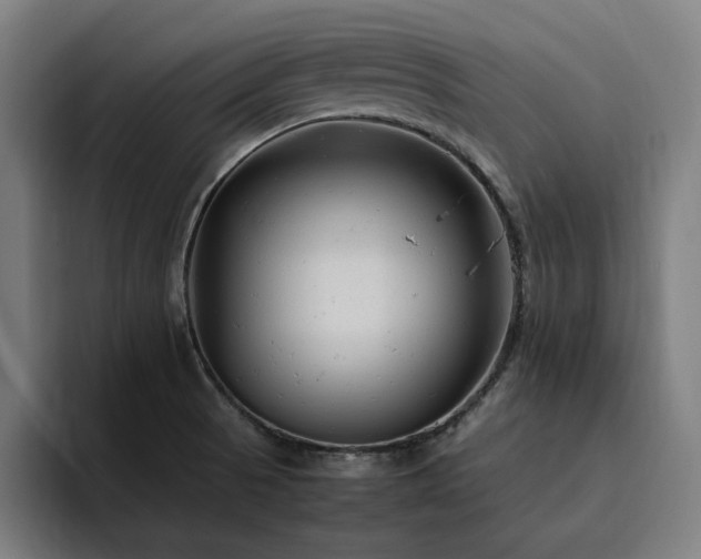 X0000094781521200711161405